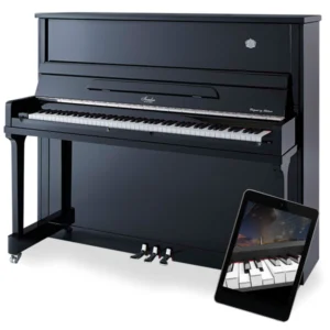 Irmler 127 - zelfspelende piano