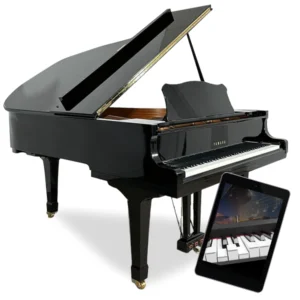 Yamaha C3 - zelfspelende vleugel