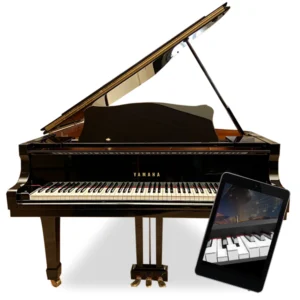 Yamaha G2 - zelfspelende vleugel