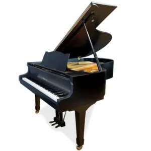 Yamaha G2 - akoestische vleugel